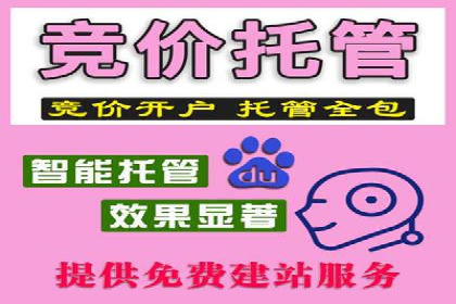案例剖析：百度SEO推广公司如何助力企业飞速发展